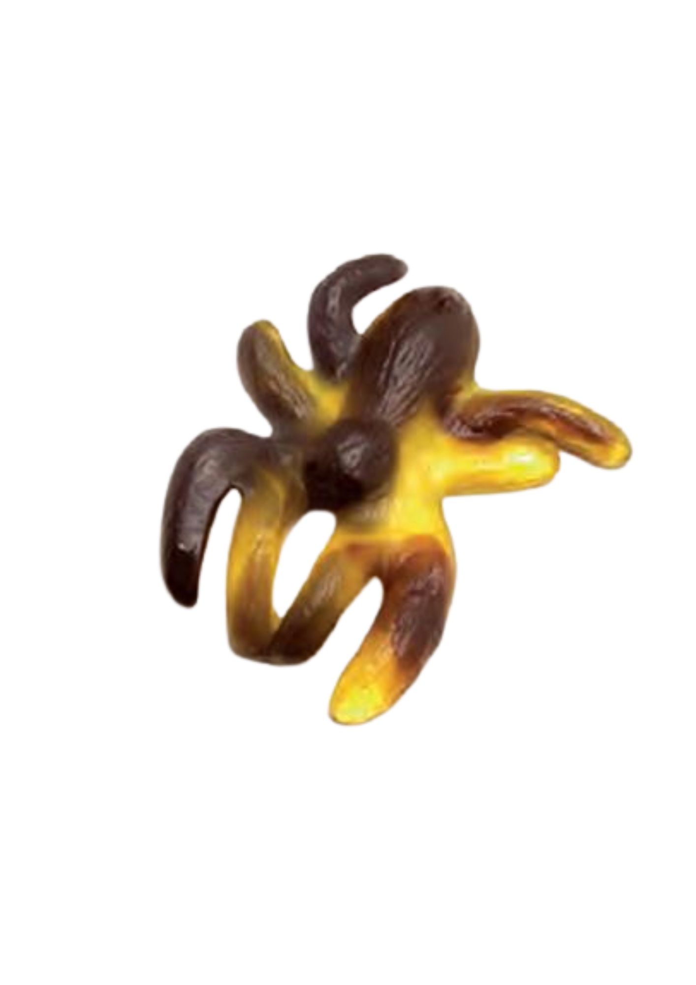 Lollywood araignée XL 100g