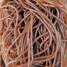 Lacet coca tubo 15 pièces