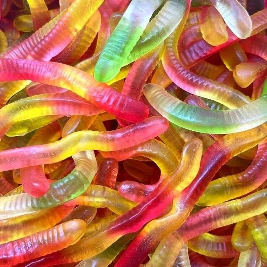 Vert de terre multicolore-100g