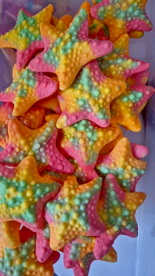 Étoile de mer 100g