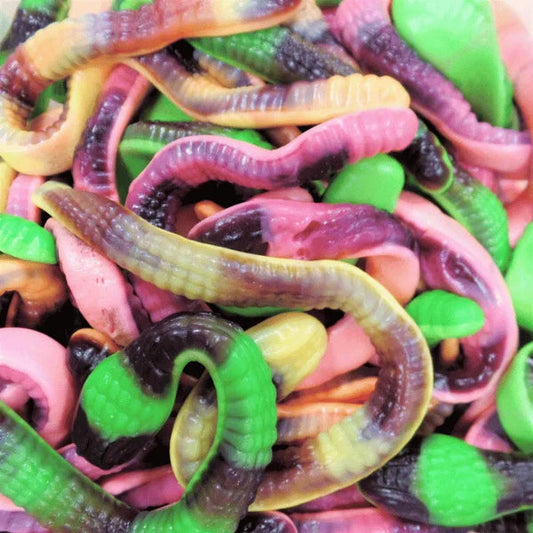 Serpent lisse 100g